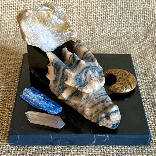Dragon Skull Shungite, Kyanite, Golden Healer, Miriam Stone Moon