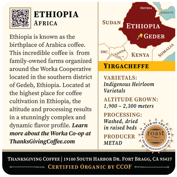 Ethiopia Yirgacheffe | Gedeb, Worka Co-op