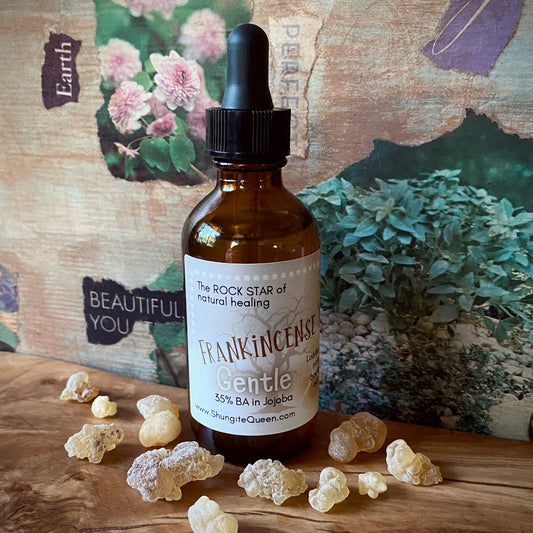 Frankincense Carterii Resin Infused Oil, Gentle, 35% Boswellic Acids 2 oz