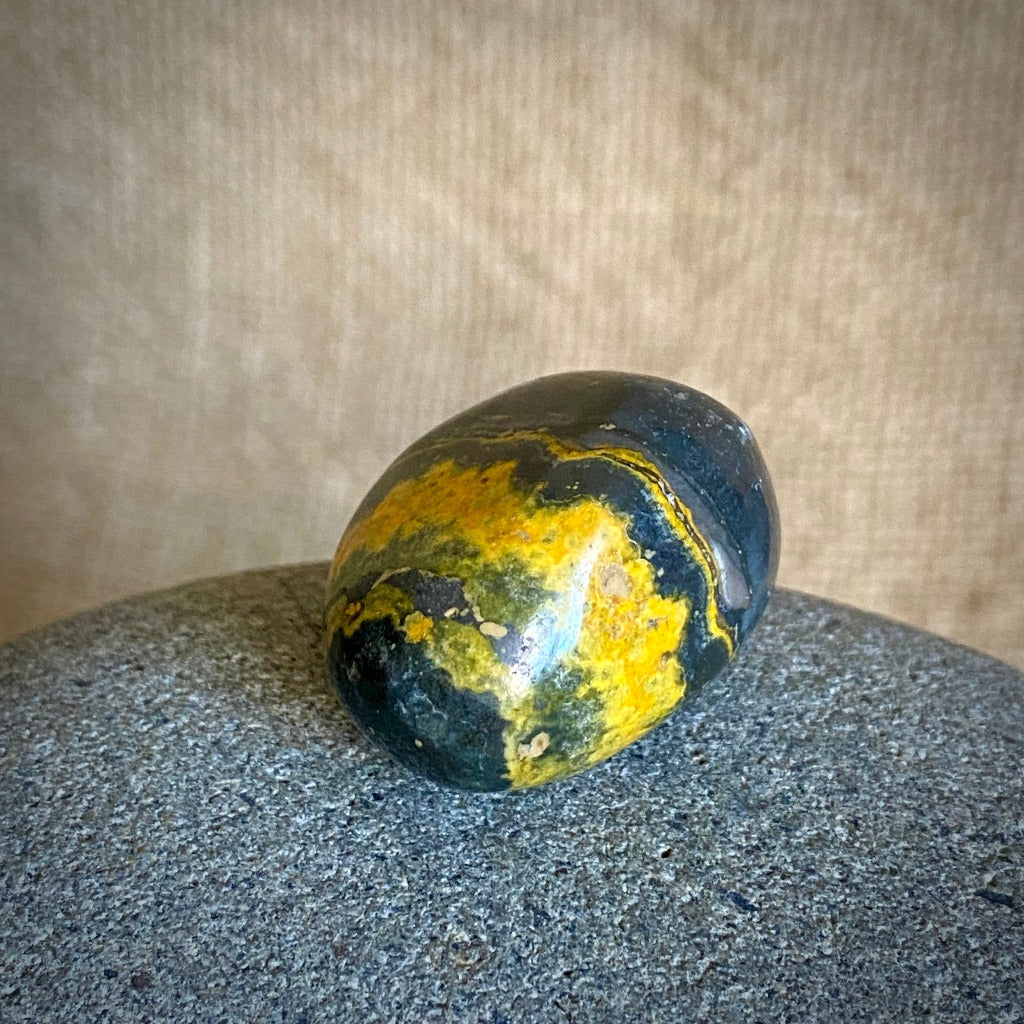 Shungite Set Bee Zipper Pouch, Bumblebee Jasper, Selenite, Palo Santo