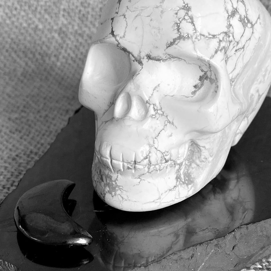 Howlite Skull on Polished Shungite Slab with Shungite Crescent Moon