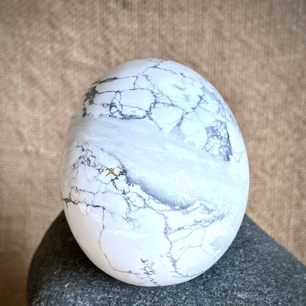 Howlite Skull on Polished Shungite Slab with Shungite Crescent Moon