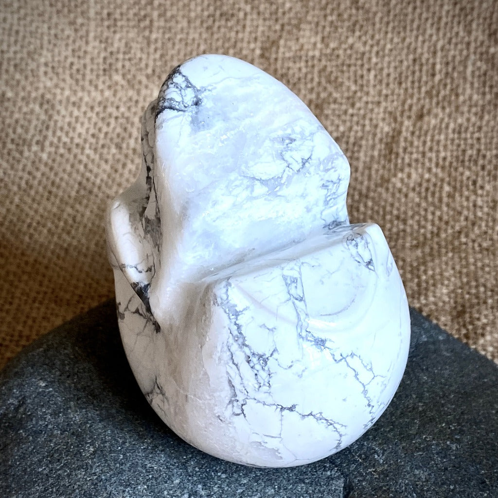 Howlite Skull on Polished Shungite Slab with Shungite Crescent Moon