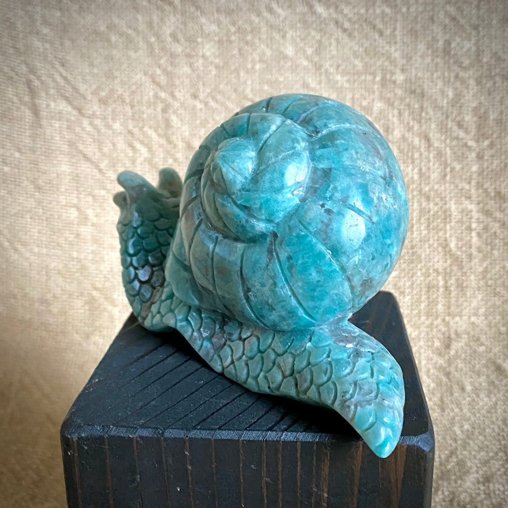 Fabulous Amazonite Snail with Elite Shungite Nugget on Shungite Tile