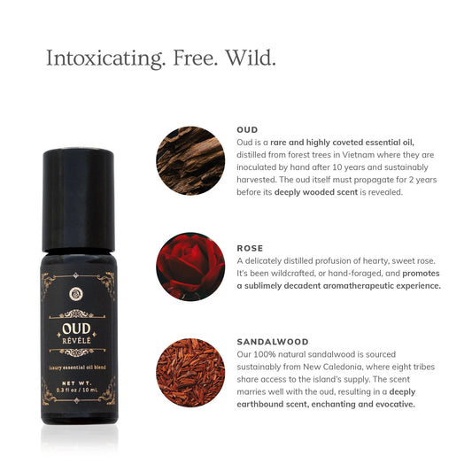 Oud Révélé | All Natural Perfume 10mL