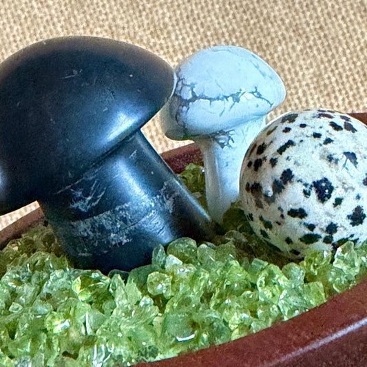 Shungite Mushroom Garden | Dalmatian Stone, Howlite, Green Peridot
