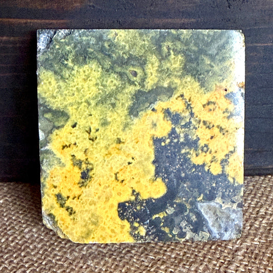 Shungite Pyramid on Bumblebee Jasper | Courage & Manifestation 1