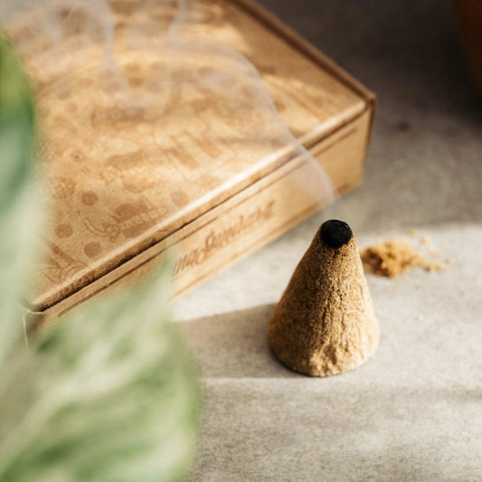 Premium Palo Santo Incense Cones (Box of 10)