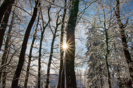 Vitamins D3, K2 & Magnesium |The Vital Winter Trio for Immunity & Heart Health