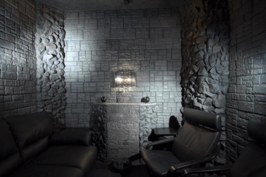 How About a Shungite Room?