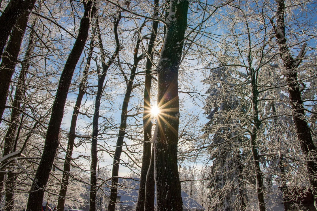 Vitamins D3, K2 & Magnesium |The Vital Winter Trio for Immunity & Heart Health