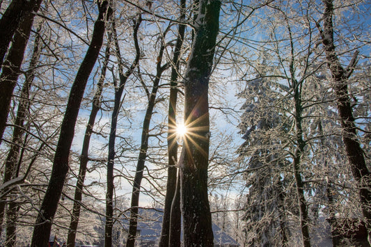 Vitamins D3, K2 & Magnesium |The Vital Winter Trio for Immunity & Heart Health