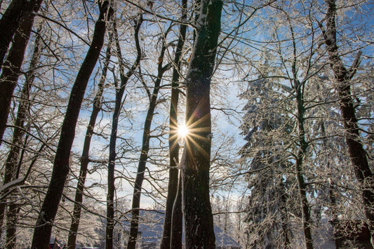 Vitamins D3, K2 & Magnesium |The Vital Winter Trio for Immunity & Heart Health
