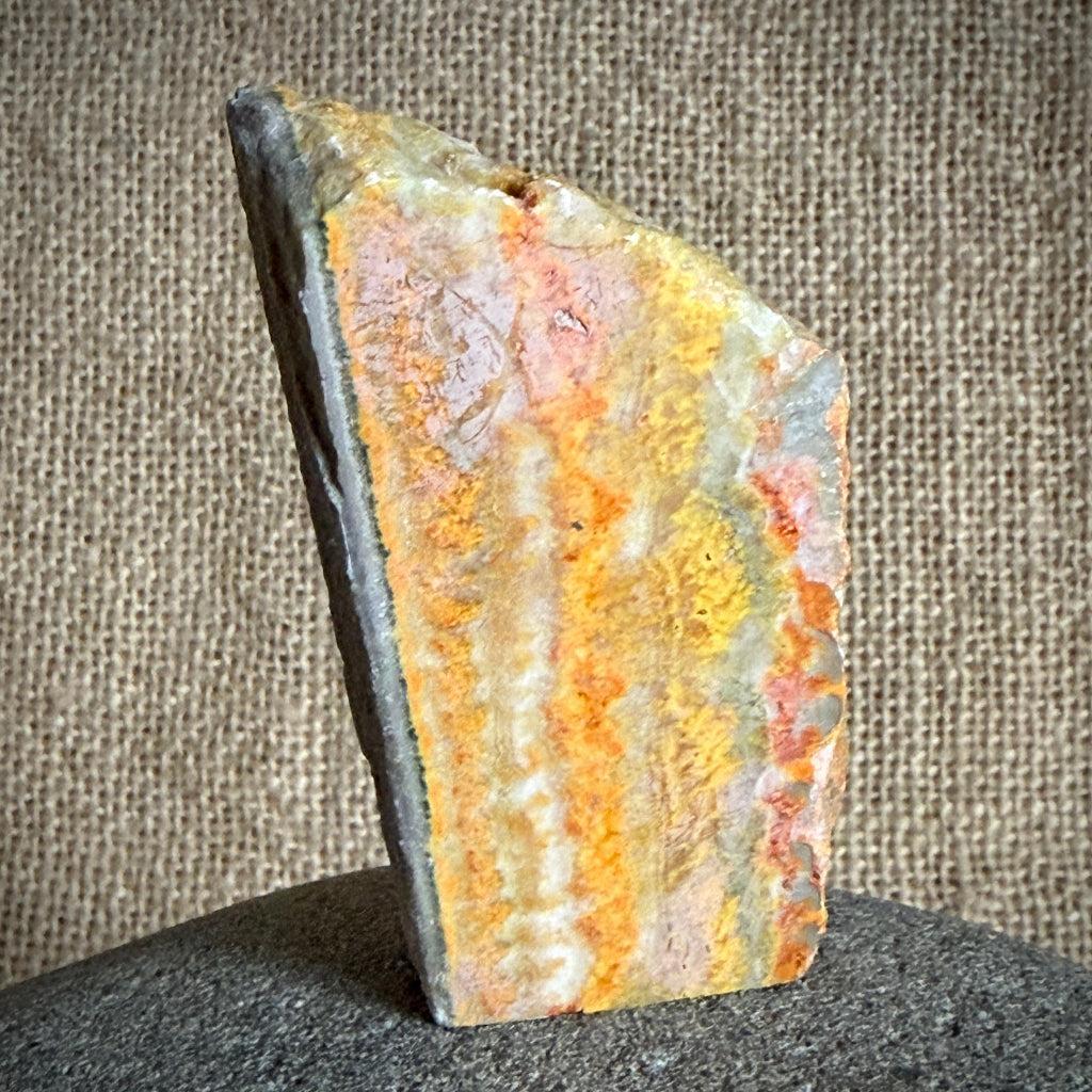 Carved Shungite Dog | On Bumblebee Jasper Slab