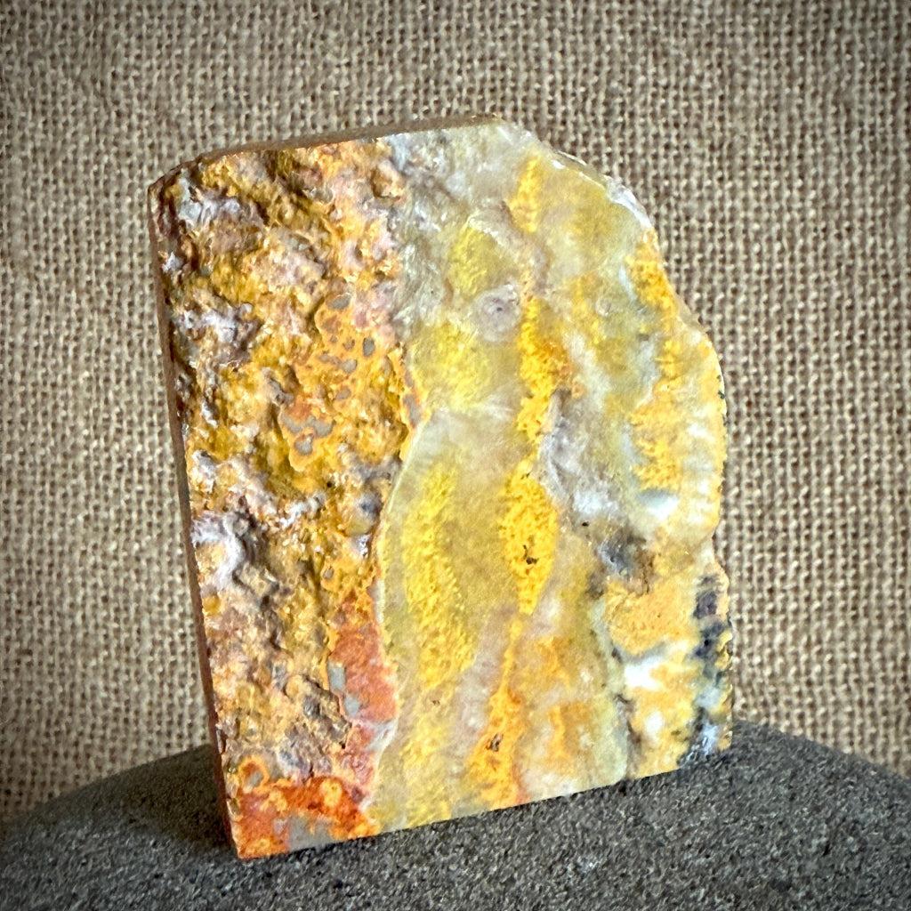 Carved Shungite Elephant | On Bumblebee Jasper Slab