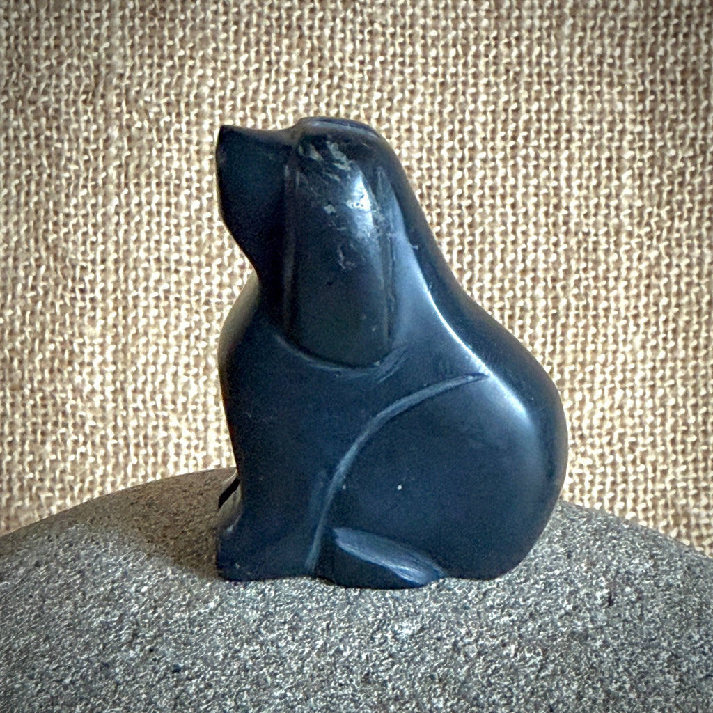 Carved Shungite Dog | On Bumblebee Jasper Slab 2