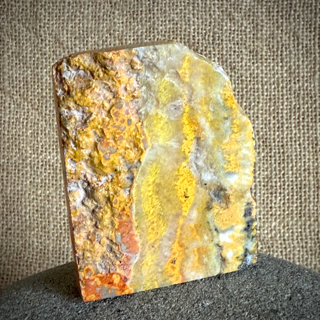 Carved Shungite Elephant | On Bumblebee Jasper Slab 3