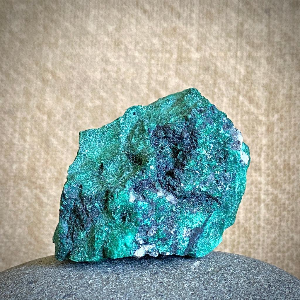 Elite Shungite Nugget 338g, Raw Malachite, Mahogany Wood Stand