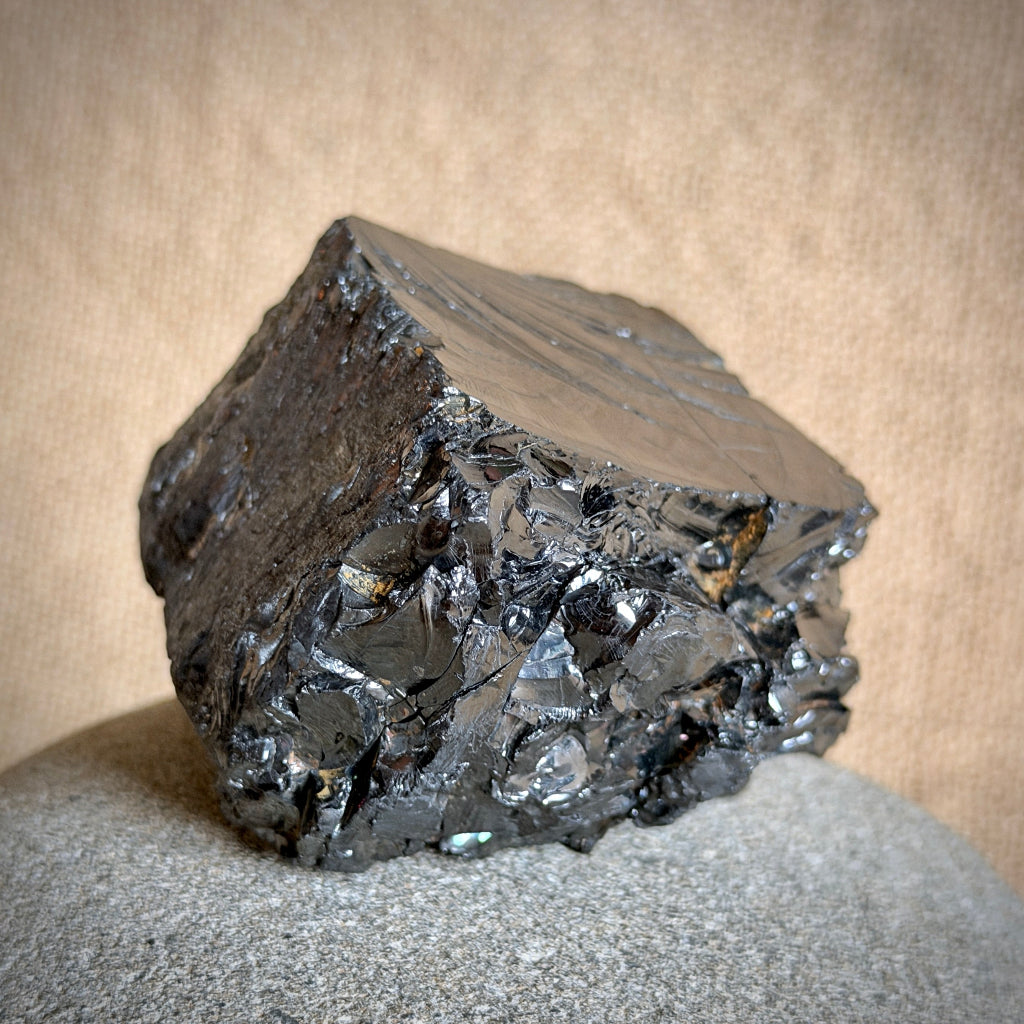 Elite Shungite Nugget 228g | On Polished Black Shungite Circular Tile 3