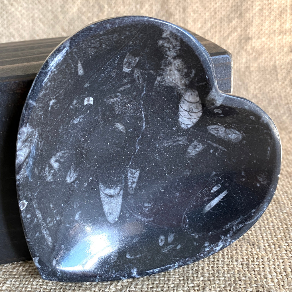 Elite Shungite Nugget 70g | Orthoceras Heart Bowl, Blue Aventurine 4