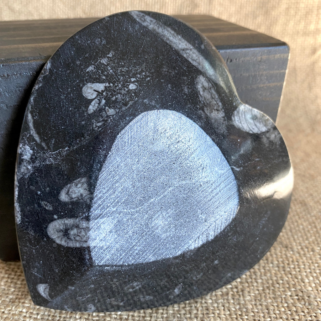Elite Shungite Nugget 70g | Orthoceras Heart Bowl, Blue Aventurine 6