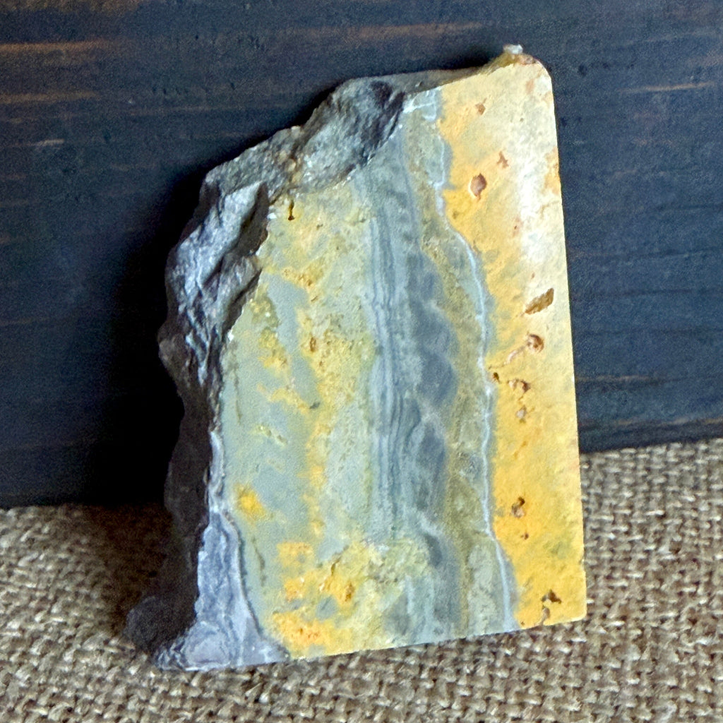 Elite Shungite Nugget & Jasper Star | On Bumblebee Jasper 5