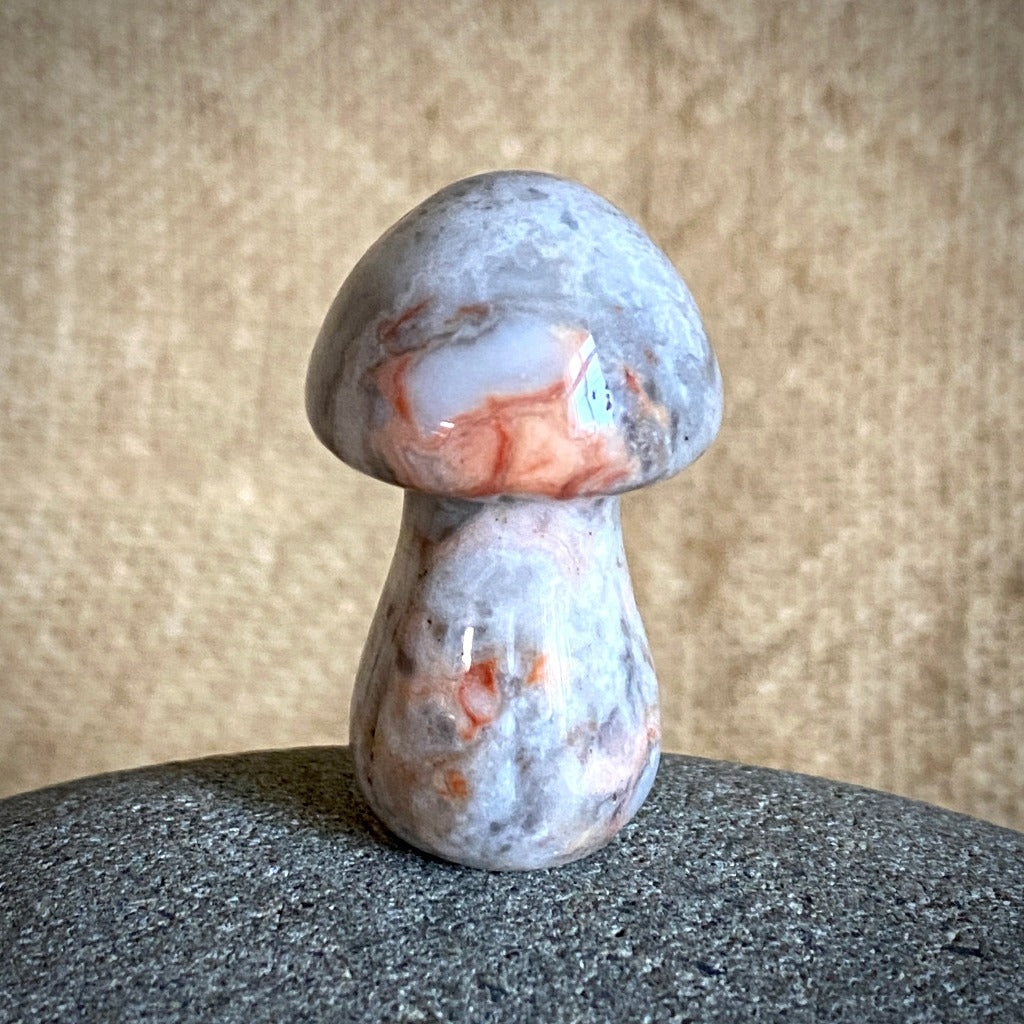 Shungite Set with Stone Mushroom in Zipper Pouch, Selenite, Palo Santo