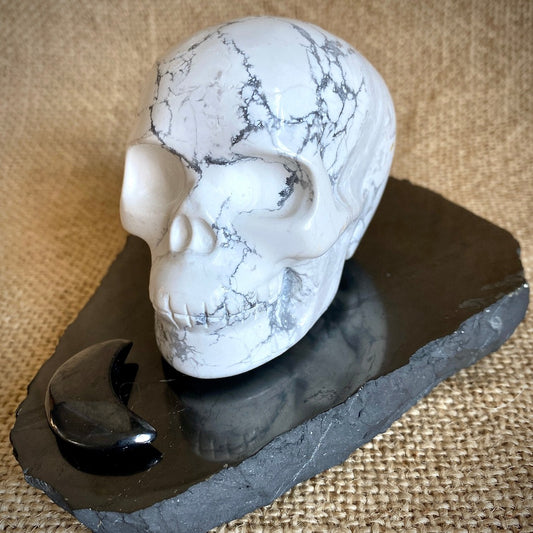 Howlite Skull on Polished Shungite Slab with Shungite Crescent Moon