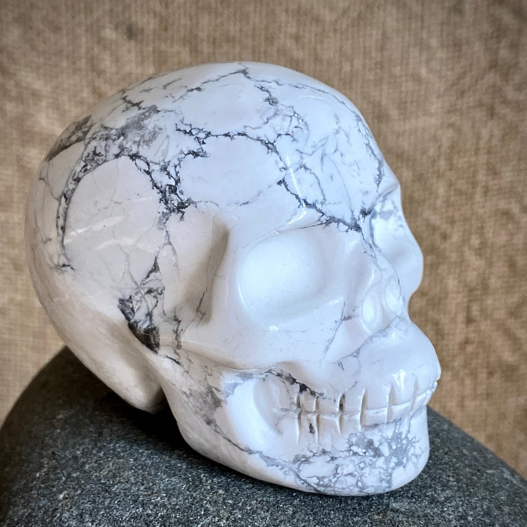 Howlite Skull on Polished Shungite Slab with Shungite Crescent Moon