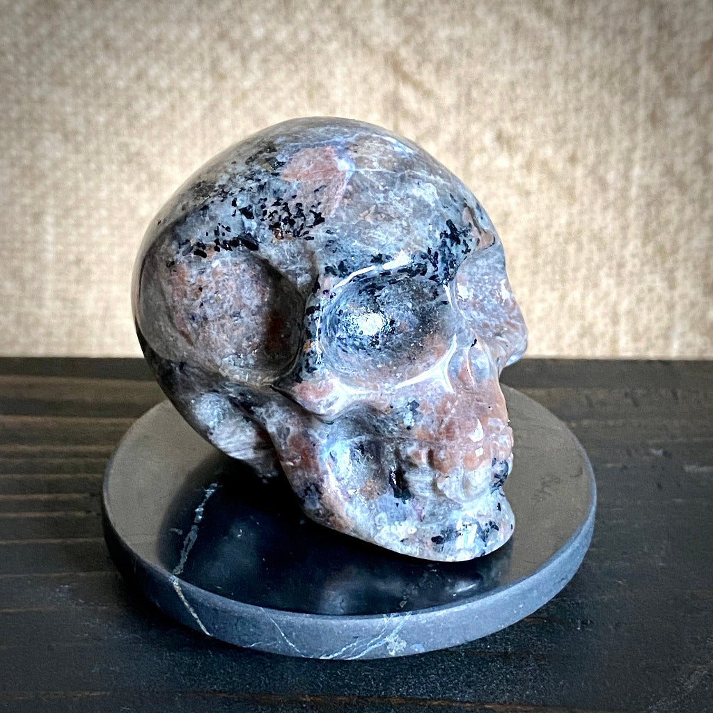 Small Yooperite aka Glowalite Carved Skull on Polished Shungite Disk