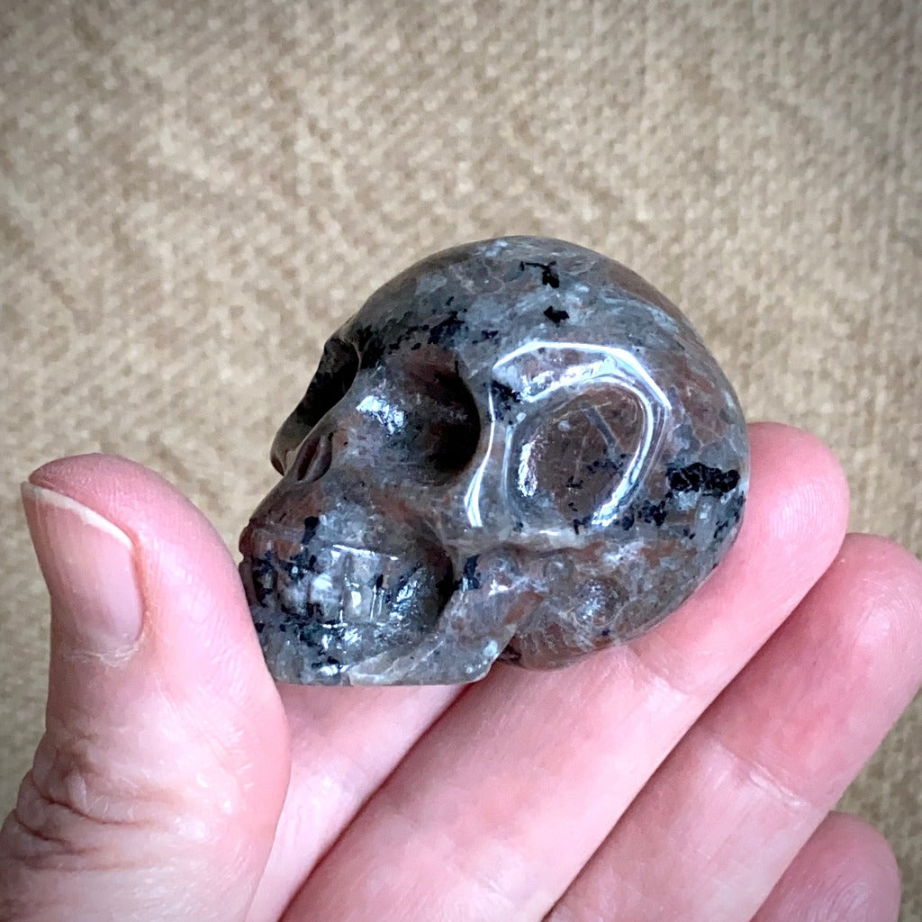 Small Yooperite aka Glowalite Carved Skull on Polished Shungite Disk