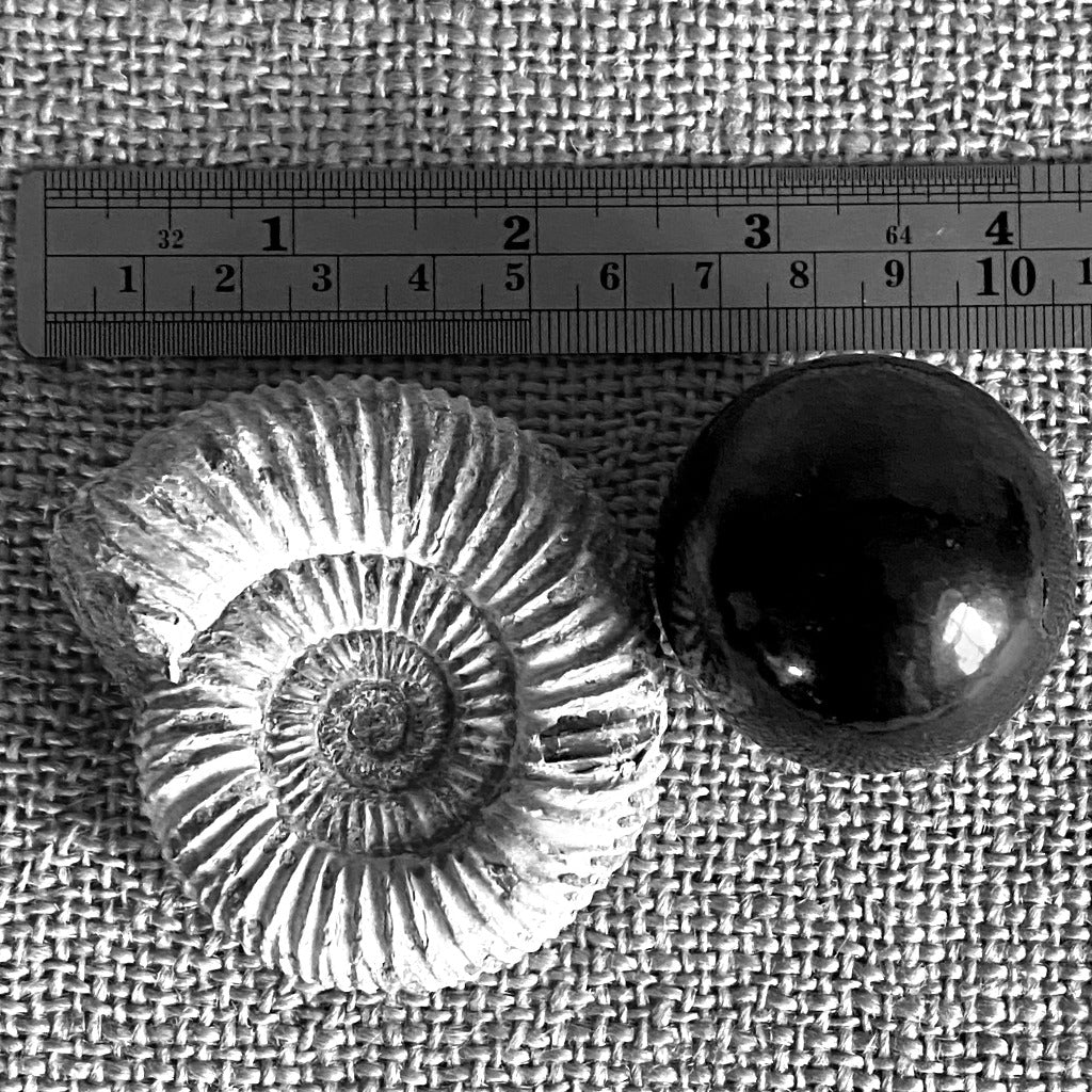Black Shungite Sphere on Ammonite Fossil Stand