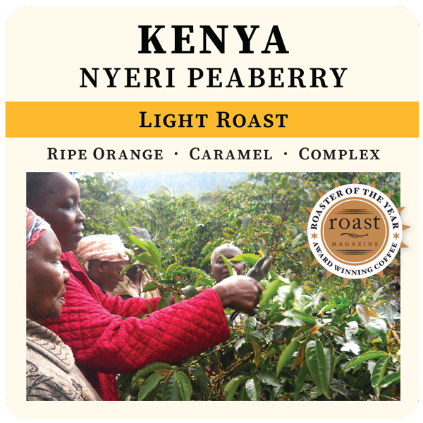 Kenya | Nyeri Peaberry