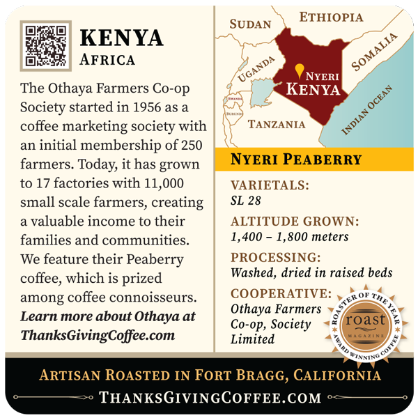 Kenya | Nyeri Peaberry