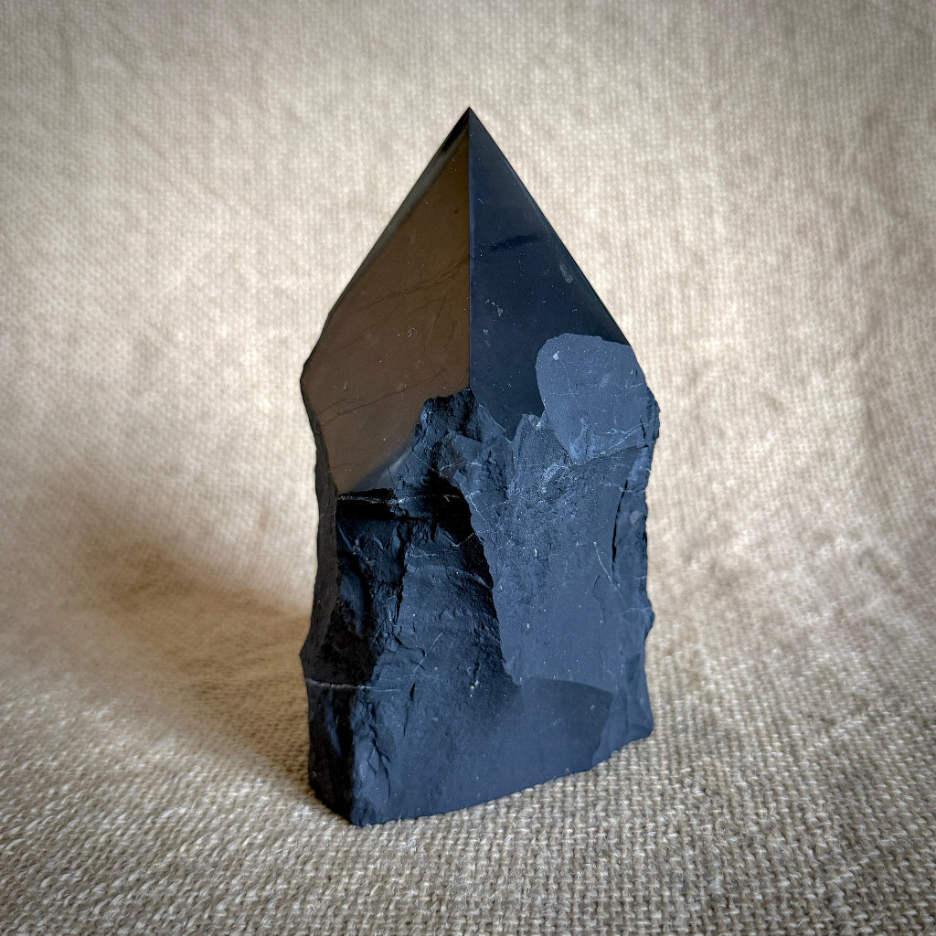 Large Raw Shungite Point | Beautifully Polished 1