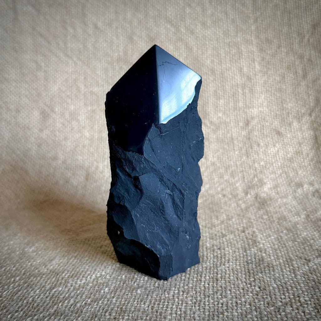 Medium Raw Shungite Point | Beautifully Cut & Polished