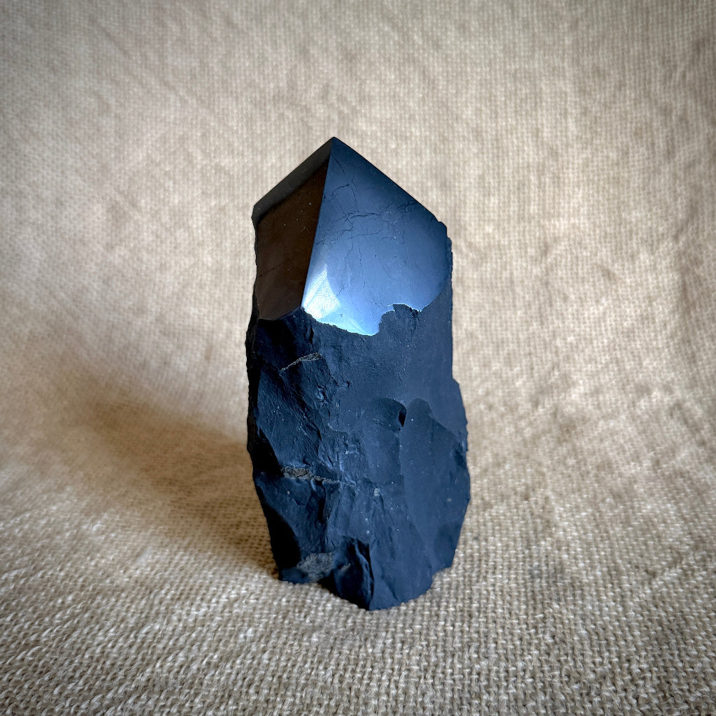 Medium Raw Shungite Point | Beautifully Cut & Polished 3