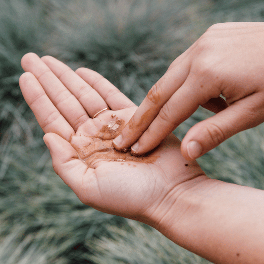 Purifying Mud Mask 50ml