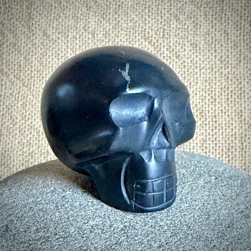 Shungite Skull on Baltic Amber | Zambian Citrine, Gold Rutile Quartz