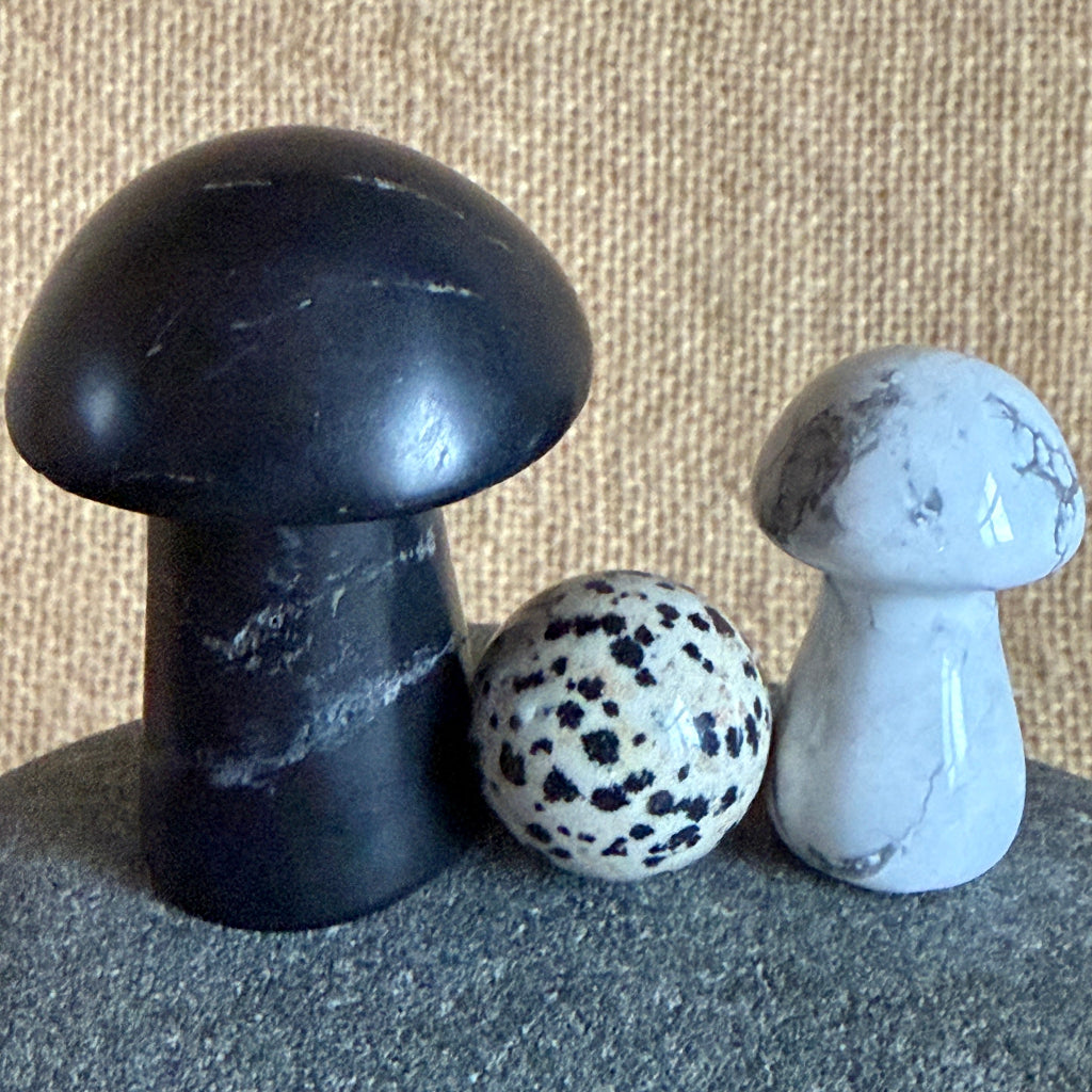 Shungite Mushroom Garden | Dalmatian Jasper, Howlite, Green Peridot 2