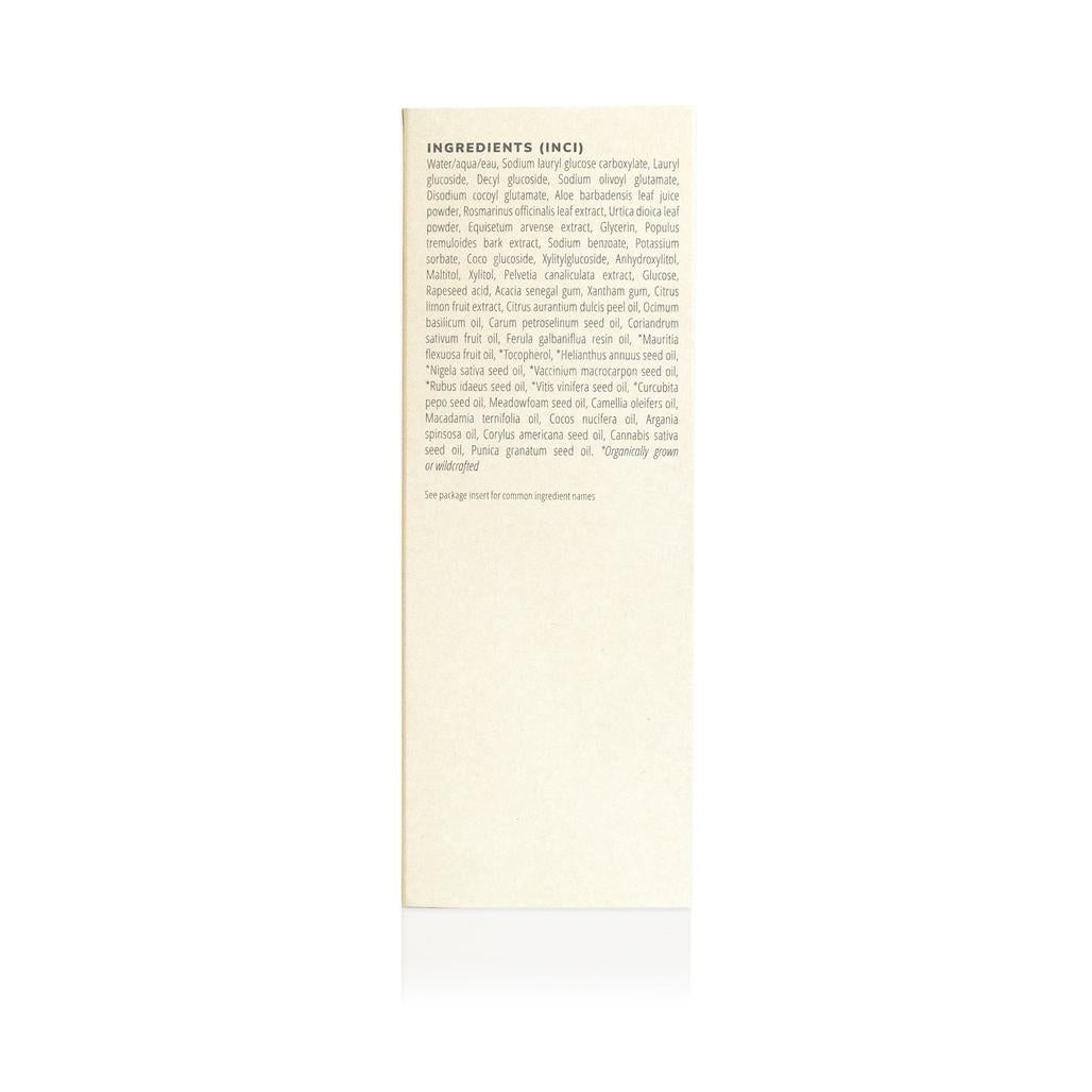 Sweet Sunrise Shampoo | 240mL
