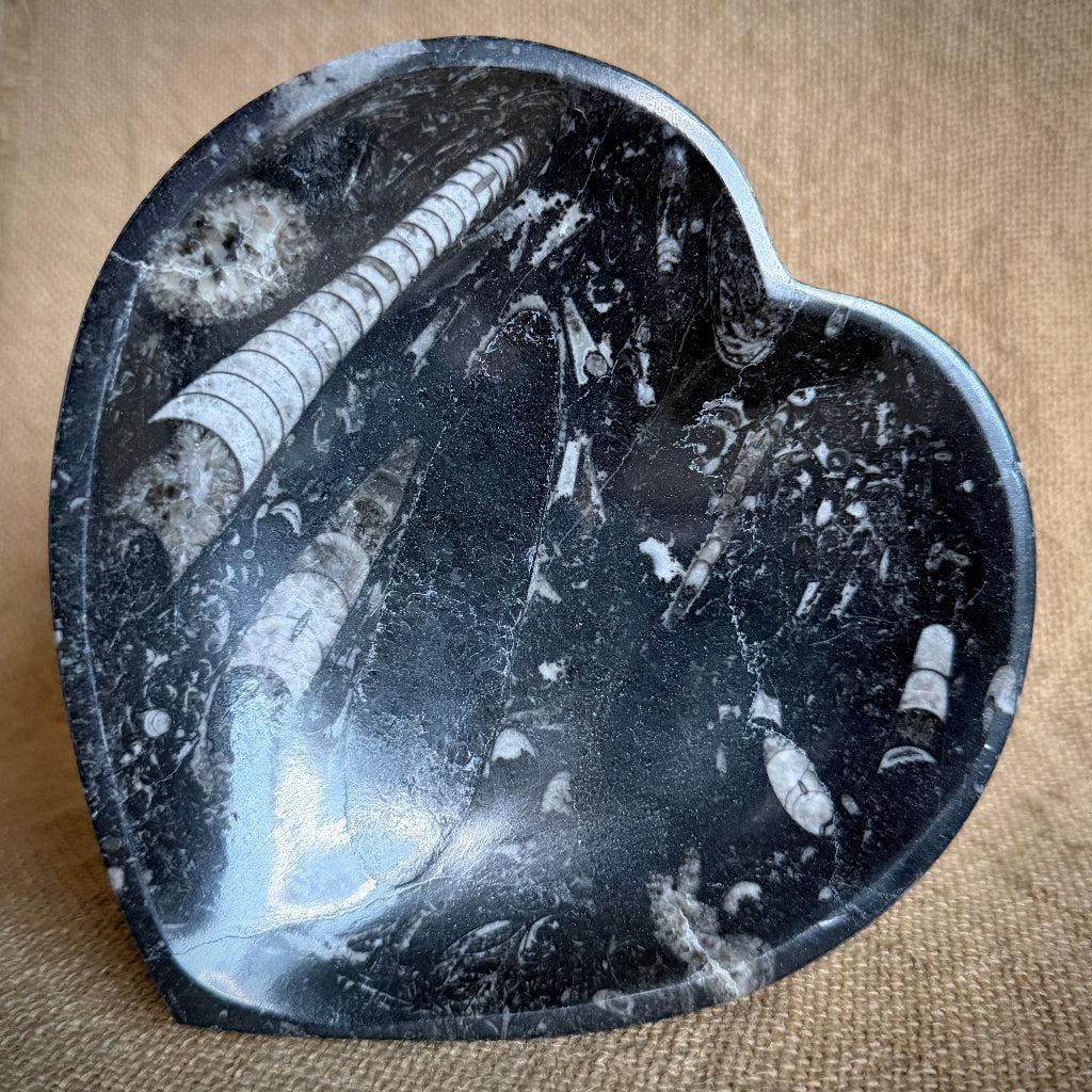 Tumbled Black Shungite, Selenite, Lepidolite | Orthoceras Heart Bowl