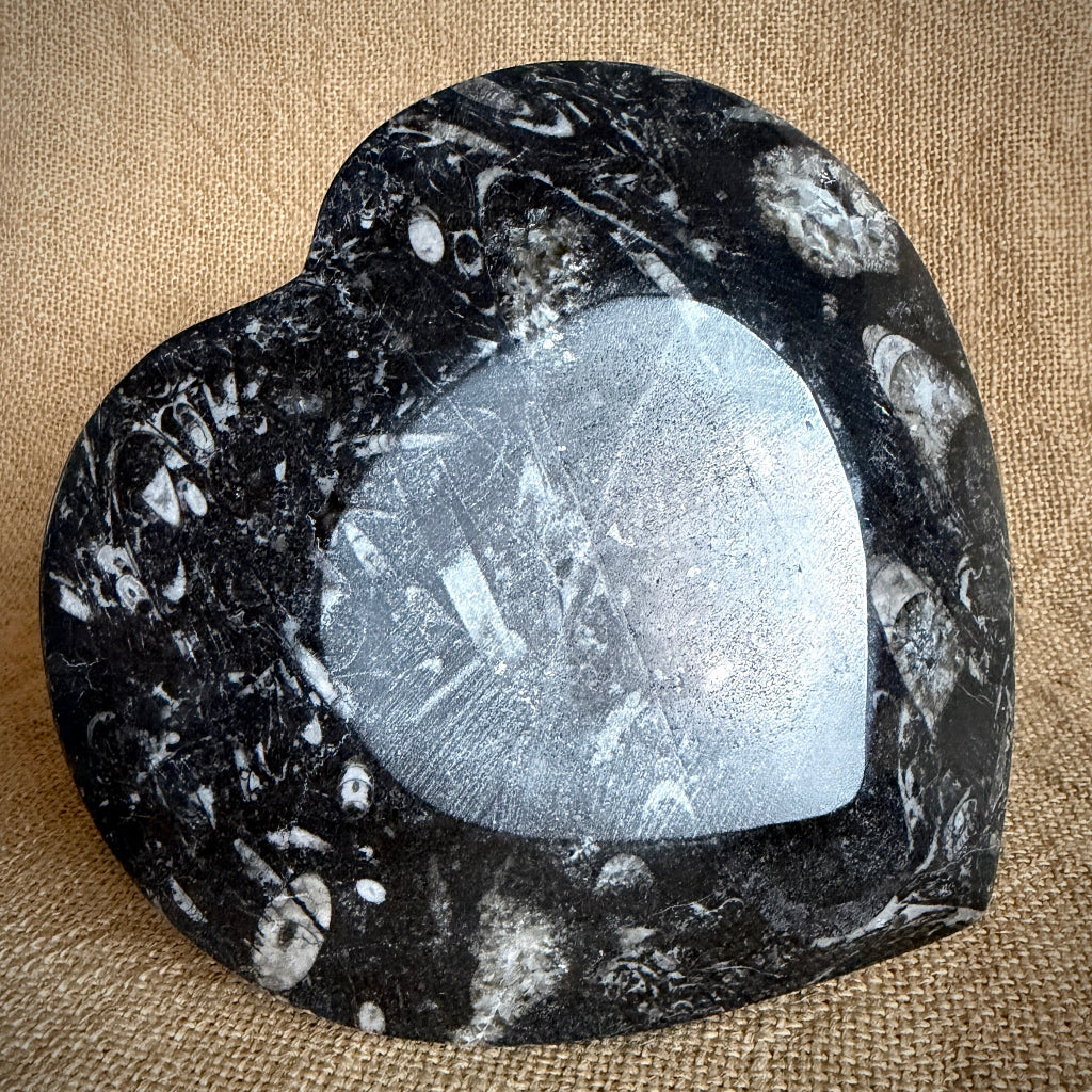 Tumbled Black Shungite, Selenite, Lepidolite | Orthoceras Heart Bowl 6