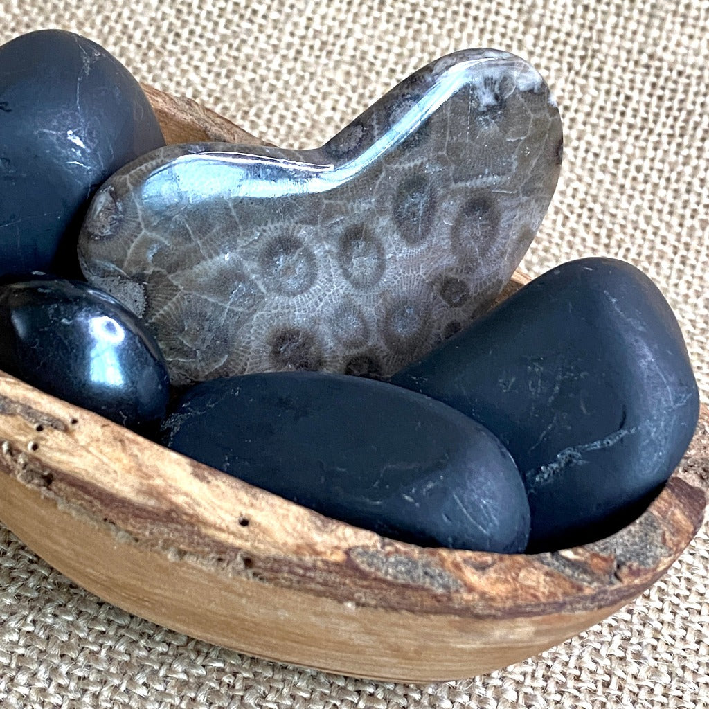 Jumbo Tumbled Shungite & Petoskey Stone Heart in Olive Wood Bowl